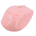 mscpkte1226s_4.webp