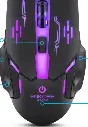 Captura.PNG5.webp