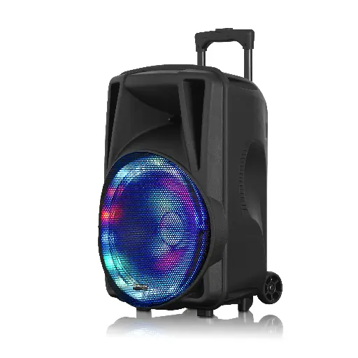PARLANTE MAXTROM AVALON 12"